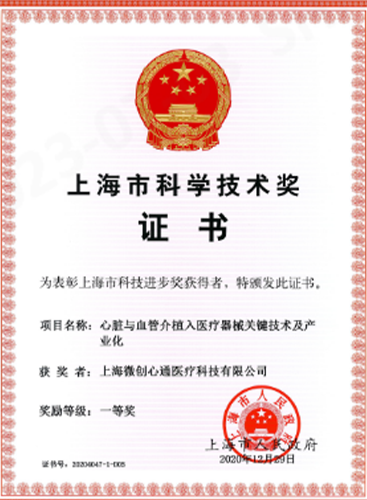 2020年 上海市科技进步奖 一等奖