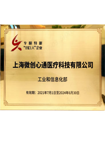 国家专精特新“小巨人”企业