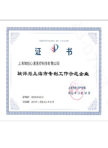 上海市专利工作示范企业
