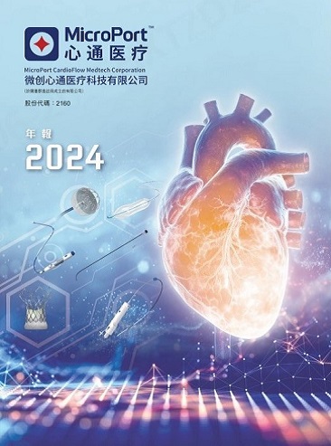 2024年度报告
