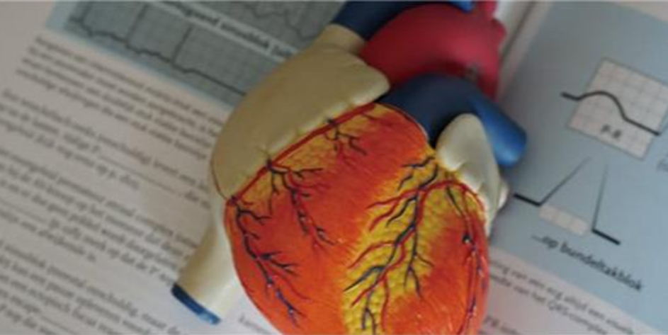 微创<sup>®</sup>集团VitaFlow<sup>®</sup>经导管主动脉瓣膜及输送系统顺利完成上市前临床研究入组